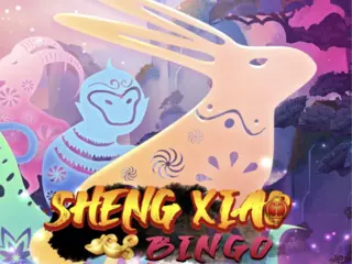 Sheng Xiao Bingo